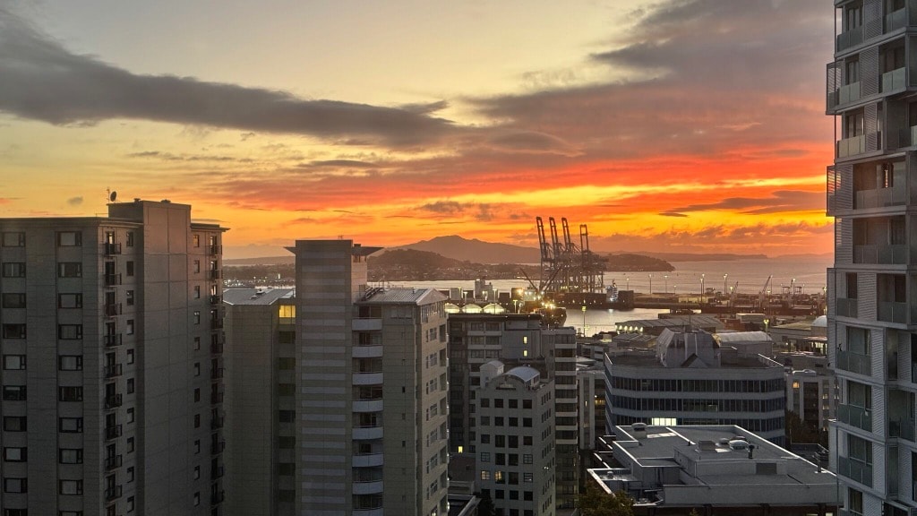 Client Work: Auckland Energy